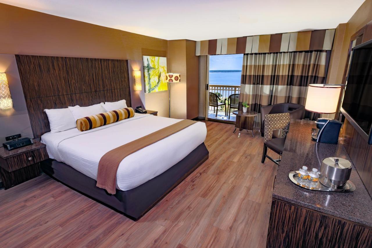 Terrace Room- 1 King Bed
